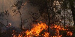 Крупный пожар на Кипре