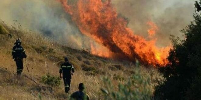 Лесной пожар в лесу Пафоса