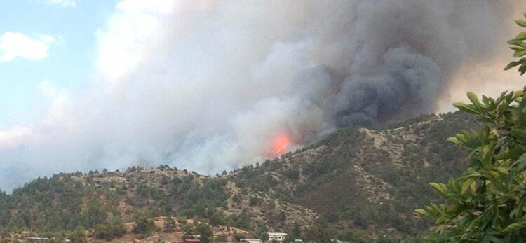 На Кипре растёт число пожаров