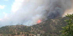На Кипре растёт число пожаров
