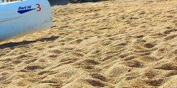 О русской пляжной вечеринке в самом дорогом отеле Кипра черепахи узнали последними (видео)