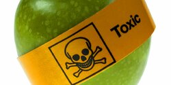 Пестициды – в 25% кипрских продуктов