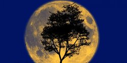 Полная луна над Кипром, сегодня! 1977,2015,2034