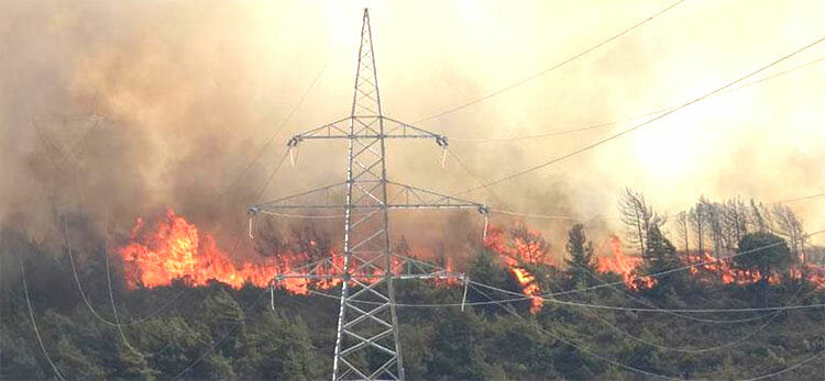 Пожар в районе Троодос - трагедия для сельских общин