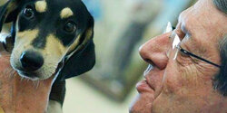 Президент Кипра взял щенка из приюта (фото)