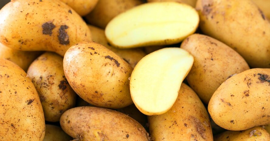 Республика Кипр ввозит картофель с Севера, а своя картошка гниет