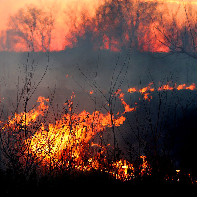 В горах севернее Пафоса полыхает пожар