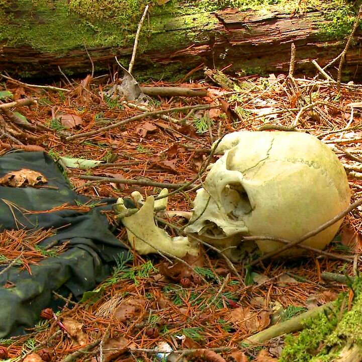 В Лефкаре найден скелет