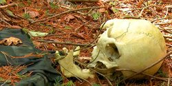 В Лефкаре найден скелет