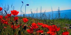 Весна-Красна! Погода на Кипре на предстоящих выходных