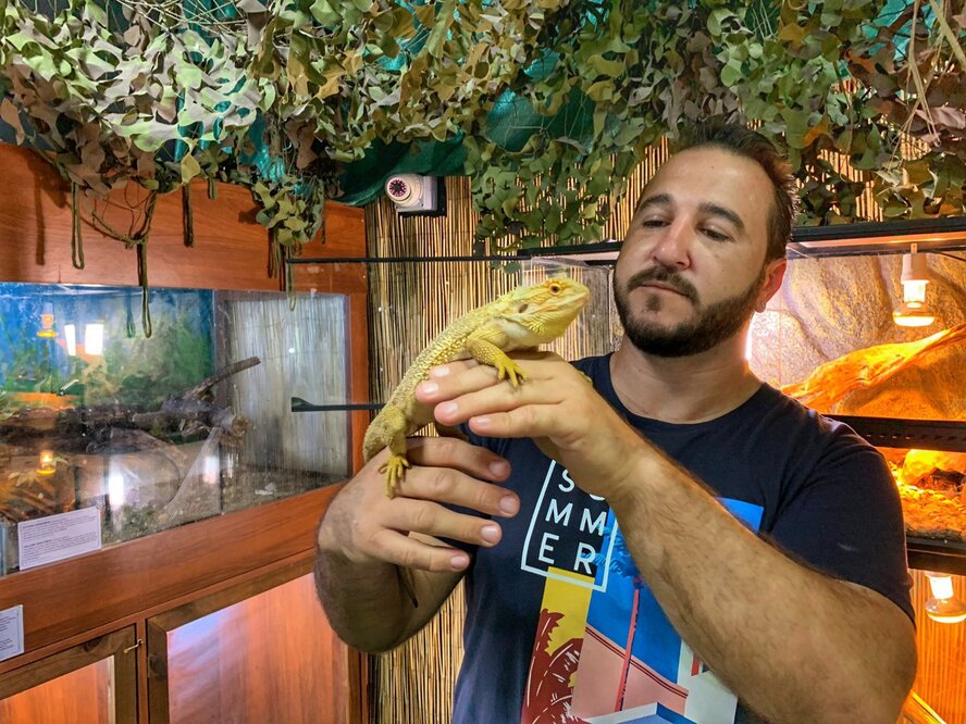 Reptile Jungle - Змеиное царство в центре Лимассола!