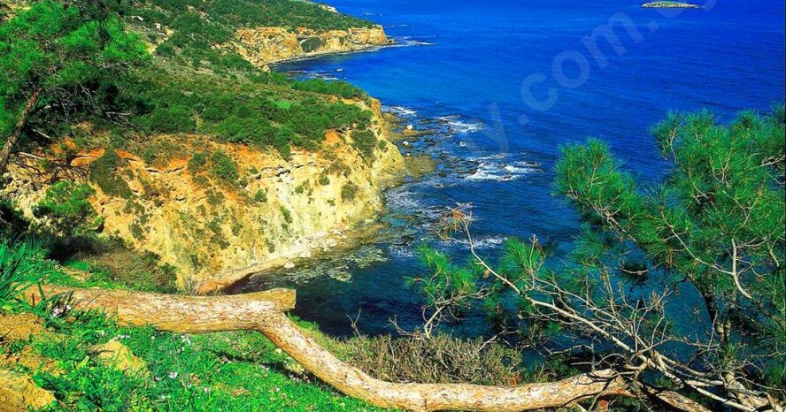 4 прекрасных места на Кипре, где зеленый встречается с синим