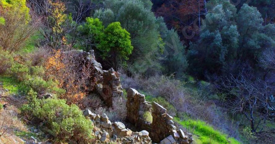 Вродисия – неизвестная заброшенная кипрская деревня посреди леса
