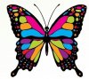 Автор Cyprus Butterfly