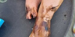 В море у Лимассола произошла утечка мазута