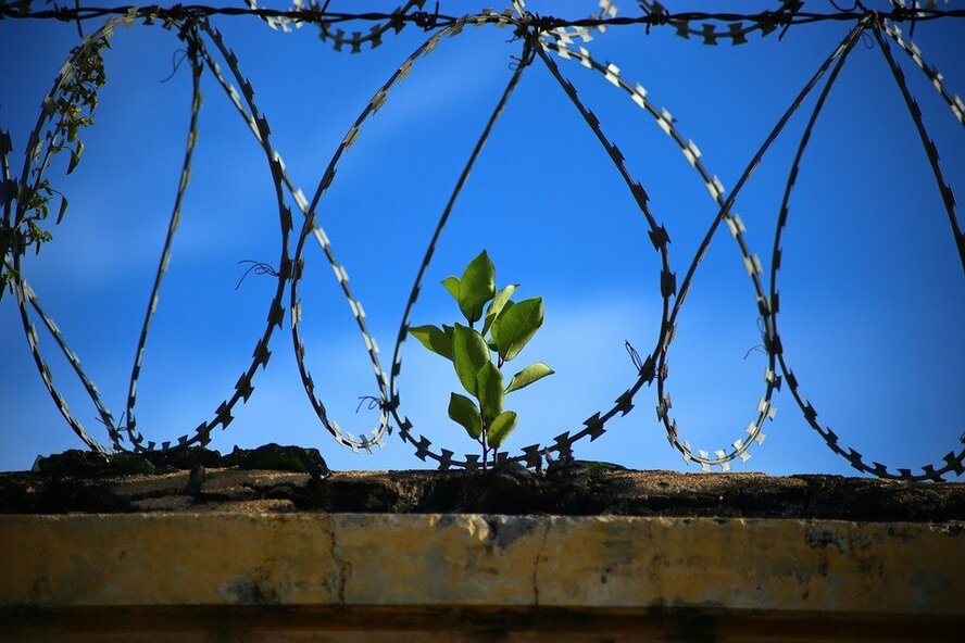 Кто выйдет на свободу из кипрской тюрьмы по амнистии?