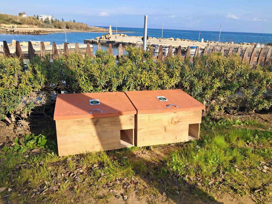 В Паралимни установили новые домики для бездомных кошек