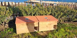В Паралимни установили новые домики для бездомных кошек