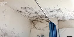 Жилой дом на улице Чехова в Лимассоле уничтожает плесень