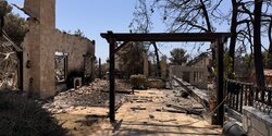 Сотрудники Cyprus Butterfly побывали на месте пожара в Суни