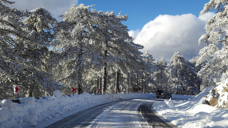 Жителей Кипра ждет снежное Рождество
