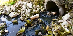 В водохранилище Полимидии попадают сточные воды