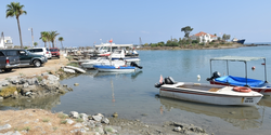 Греко-киприоты отказались закупать рыбу на северной части острова