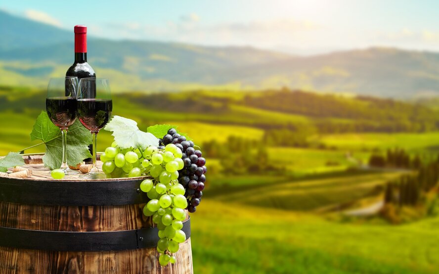 В округе Никосии появится новая винодельня и музей вина