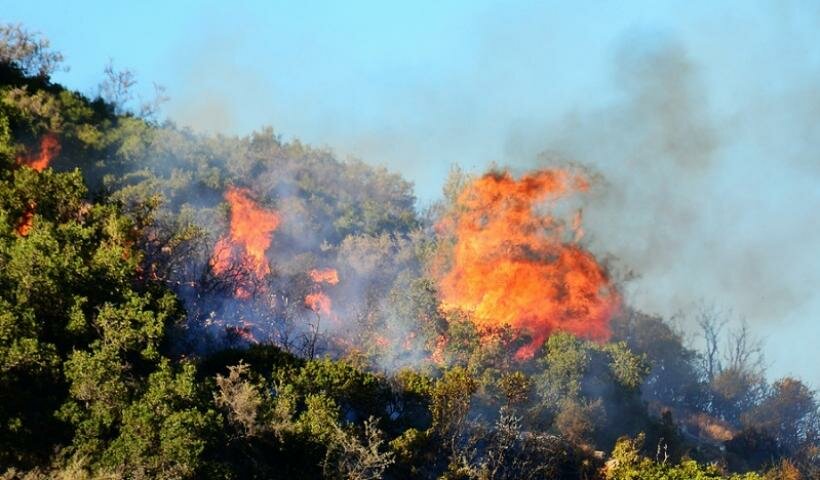 Почти 300 лесных пожаров с 2002 года вспыхнули на Кипре неслучайно