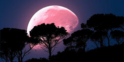 27 апреля жители Кипра смогут наблюдать ярчайшее астрономическое явление