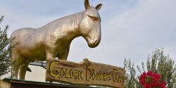 Не пропустите семейный праздник в ослиной ферме Golden Donkeys!