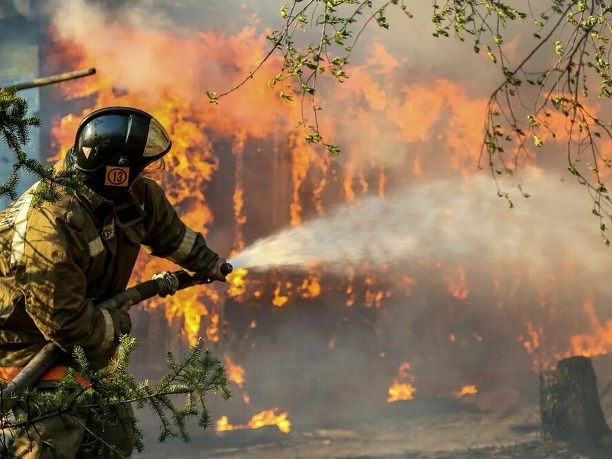 В кедровой долине Пафоса произошел пожар