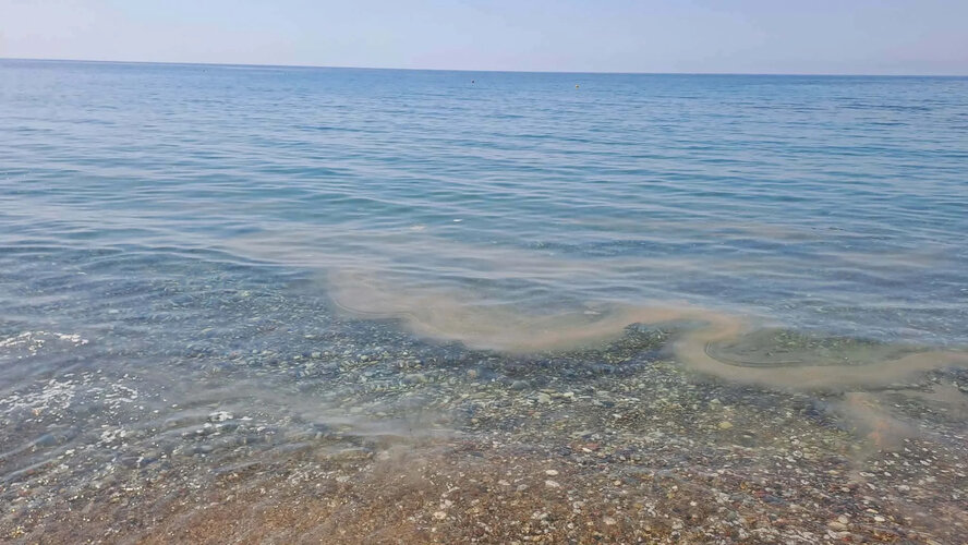 На пляже Тими в районе Ларнаки обнаружили следы сточных вод