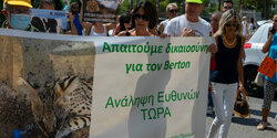 На Кипре прошел митинг из-за смерти кота Бертона