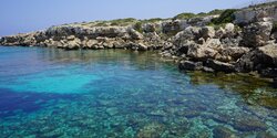 Cyprus from Air сняло уникальные кадры с каракатицами