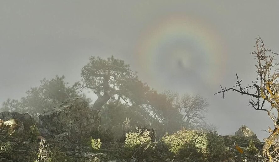 В небе над Кипром заметили редкое явление