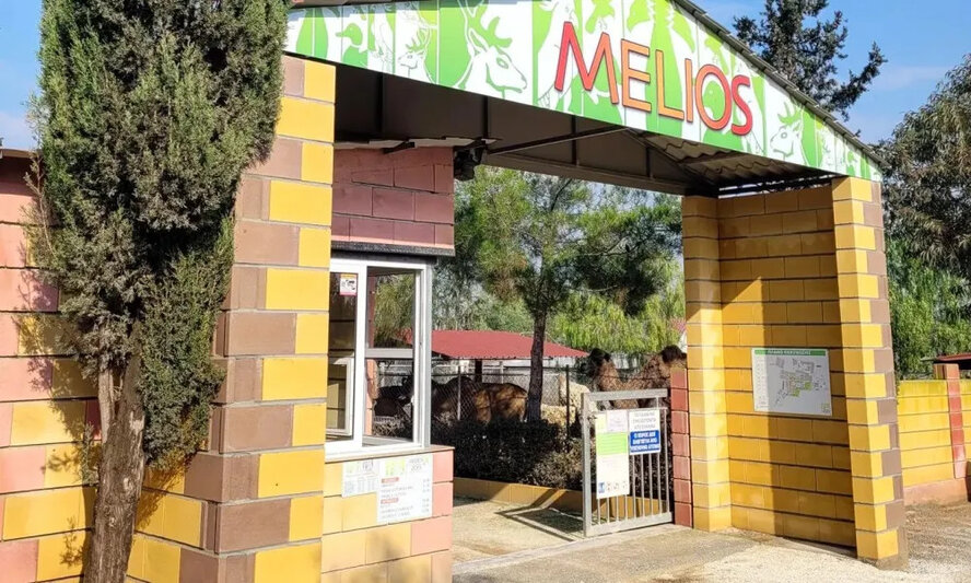 На Кипре закрывают зоопарк Melios