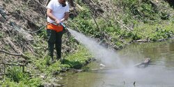 В Ларнаке усилили борьбу с комарами