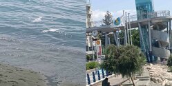 На пляже в Лимассоле возмущенные купальщики сняли Голубой флаг ﻿со флагштока