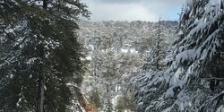 Троодос замело снегом