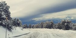 Троодос завалило 22-сантиметровым слоем снега