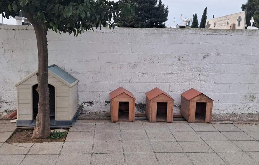 В муниципалитете Паралимни-Дериния установили кормушки для кошек