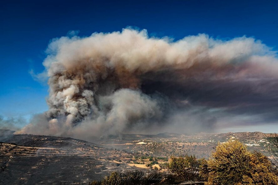 Департамент лесного хозяйства призвал население Кипра быть осторожным с огнем