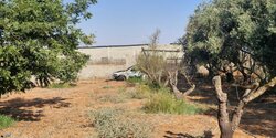 В Айя-Напе совершено покушение на убийство