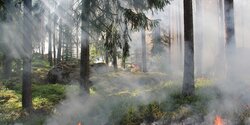 На Кипре сегодня объявлено оранжевое предупреждение об экстремально высоких температурах!