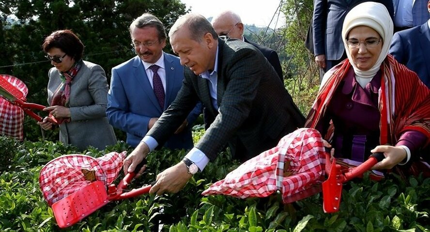 Пикник на грани фола: Эрдоган собирался попировать в кипрской Вароше