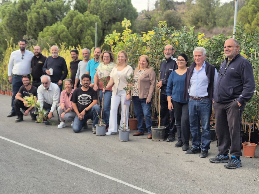 В горах Ларнаки высадили более тысячи медоносных деревьев