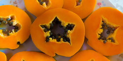 Кипрская папайя — вкуснейший фрукт, ягода или необычный овощ? 