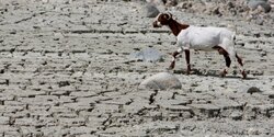 Засуха на Кипре: пять деревень Никосии остались без воды