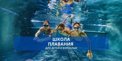 SwimCeo — школа плавания для детей и взрослых на Кипре